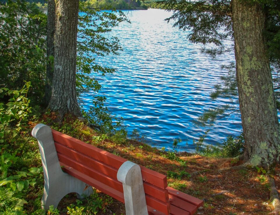 Grieve Lakeshore Trail