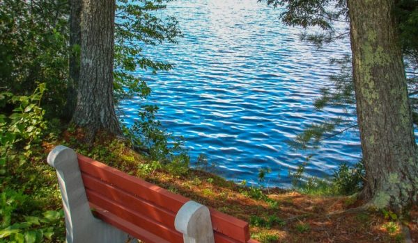 Grieve Lakeshore Trail