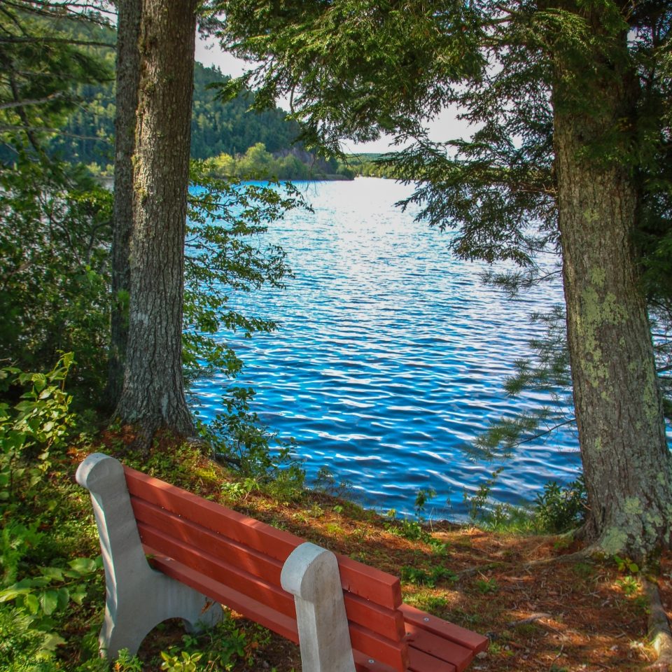 Grieve Lakeshore Trail